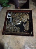 /album/galeria-de-fotos-desentupimentos-/desentupimentos-de-fossas-jpg/